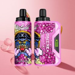 VapSolo VIKING 12000 Puffs חֲלוֹם קַיִץ 22ml