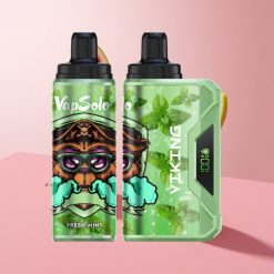 VapSolo VIKING 12000 Puffs נענע טרייה 22ml 20mg/ml