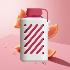 VOZOL GEAR 10000 אפרסק קרח 10000 שאיפות סליל רשת